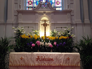 A Year in the Life of Our Church-Join Our Church Family