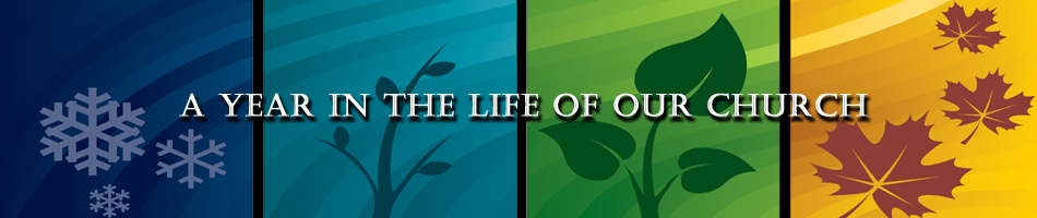 A Year in the Life of Our Church