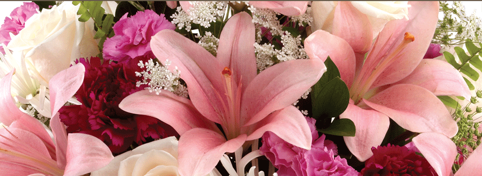 flower-donations | The United Methodist Church of Red Bank - Red Bank, NJ This is your opportunity to contribute to the beautification of our church by donating flowers throughout the year.