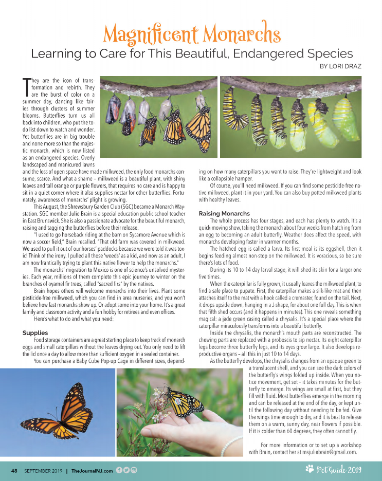 magnificent-monarchs | The United Methodist Church of Red Bank - Red Bank, NJ #
