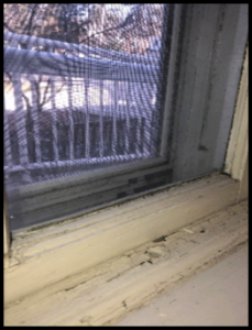 Capital Campaign 2023 Windows Project link